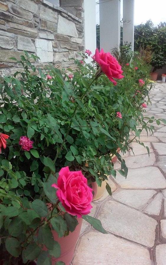 Hotel Sevilli Agios Ioannis  외부 사진